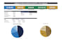 create a custom business budget and financial projections